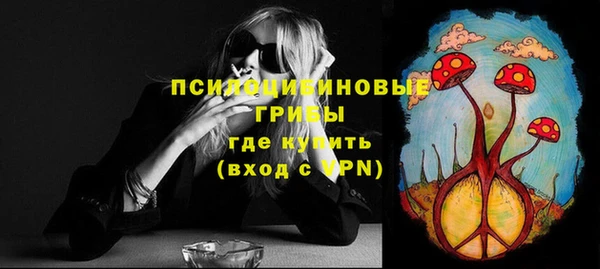 мет Арсеньев