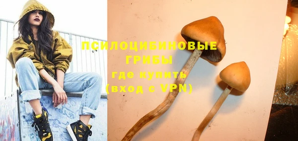 СК Аркадак