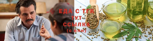 тгк Армянск