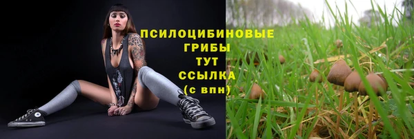 СК Аркадак