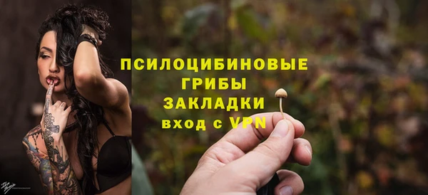 СК Аркадак