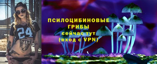 мет Арсеньев