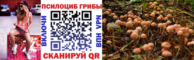 Галлюциногенные грибы прущие грибы  Мещовск 
