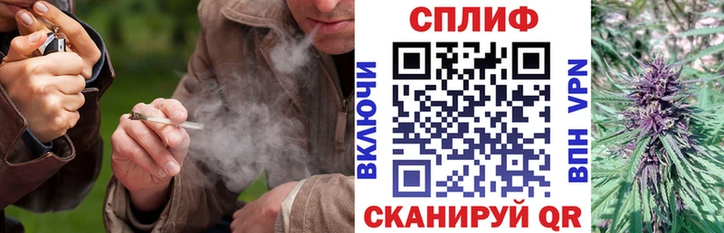 дарк нет какой сайт  mega tor  Мещовск  Бошки Шишки конопля 